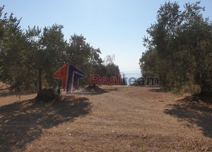 Image No.17-Property for sale