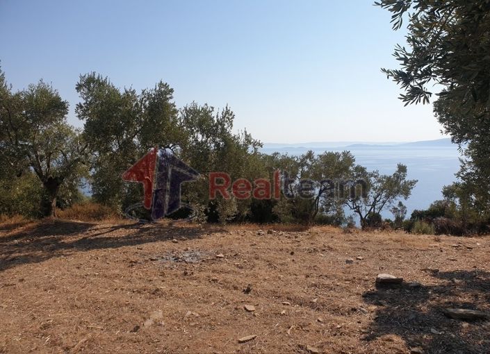 Image No.2-Property for sale