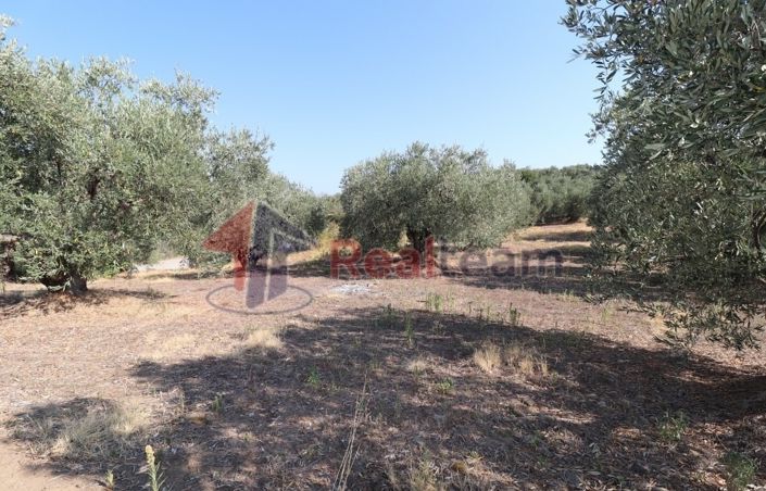 Image No.4-Property for sale