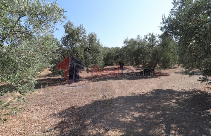 Image No.5-Property for sale