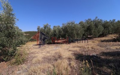 imgd438dae1-98c7-42d8-acf6-55ae1a7de038