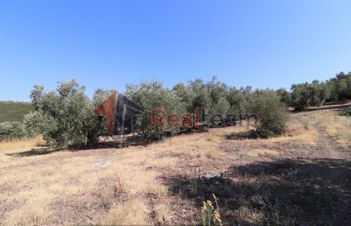 Image No.7-Property for sale