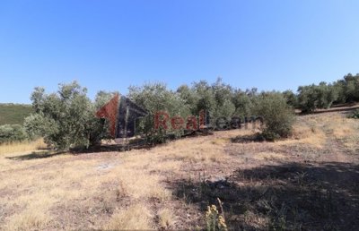 img1fcdb8fe-4a90-402e-b4de-b49d943859c6