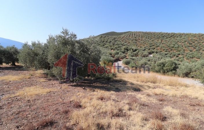 Image No.9-Property for sale