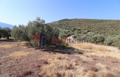 img117f567f-d3fd-4f8c-bf54-705468e1e4f1