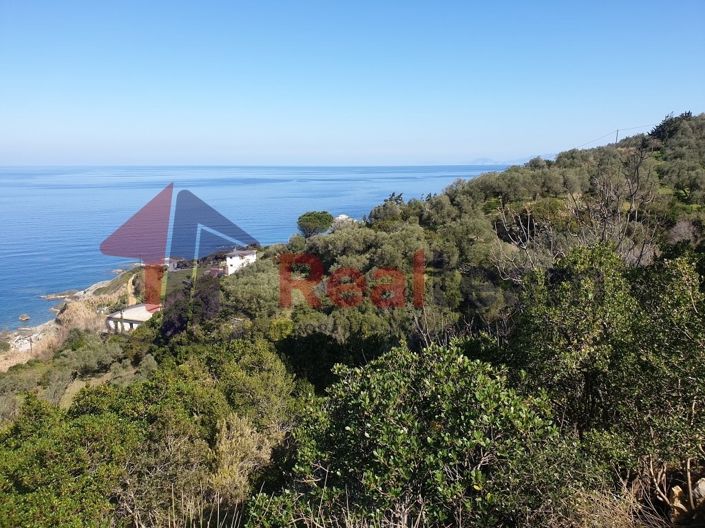 Image No.20-Property for sale