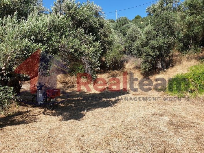 Image No.11-Propriété à vendre à Pteleos