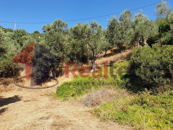 Image No.12-Propriété à vendre à Pteleos