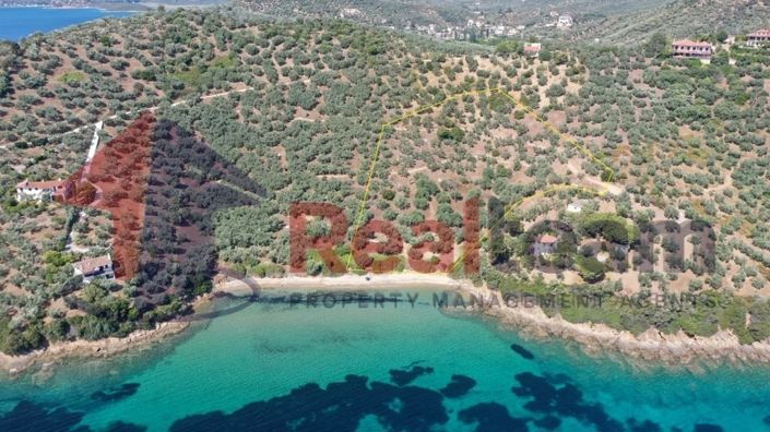 Image No.20-Propriété à vendre à Pteleos