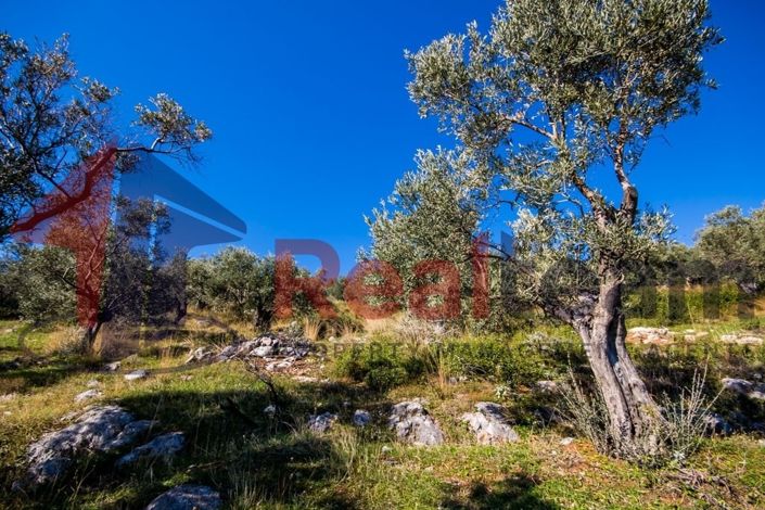 Image No.12-Property for sale