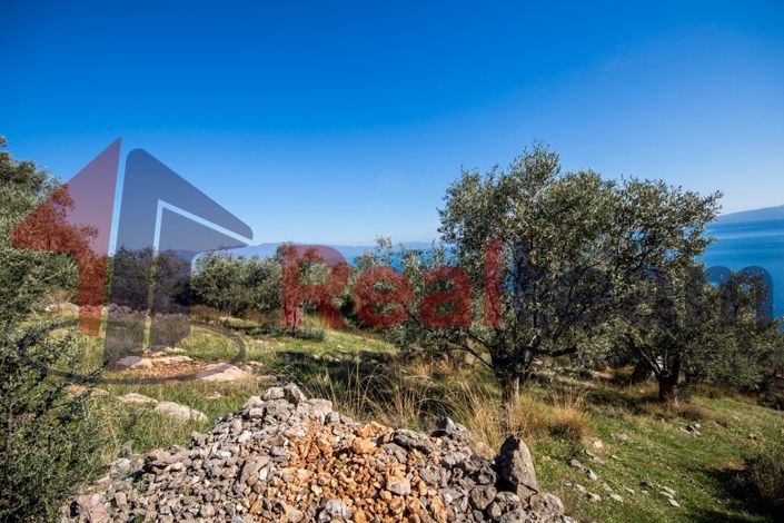 Image No.4-Property for sale