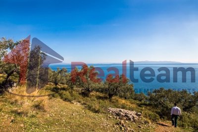 img7dda97b3-4d73-430a-ab89-3ec70b2aa25c