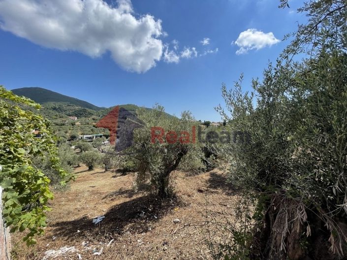 Image No.11-Property for sale