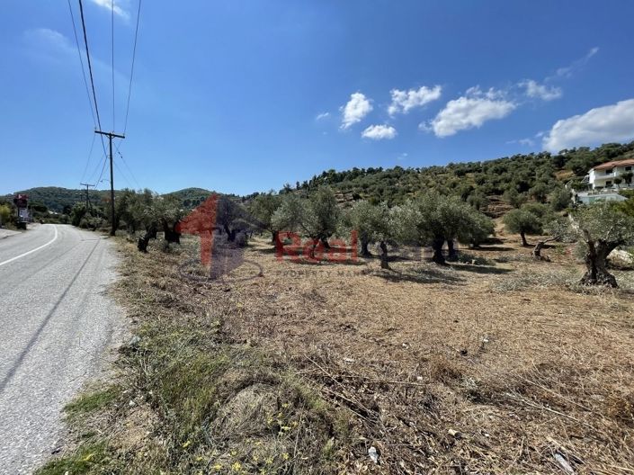 Image No.13-Property for sale