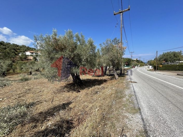 Image No.14-Property for sale