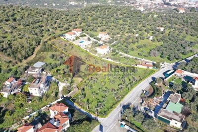 imga8753e9e-07c6-49bc-86d3-6734814bfff7