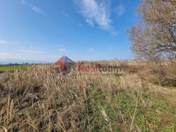img720112fe-fb5e-4db5-8bef-165ae5154295