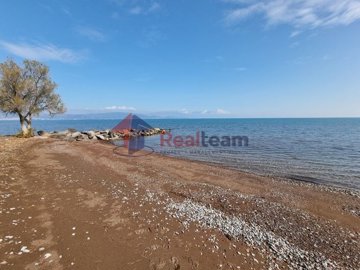img3098cdee-4091-4105-bbe5-e76a0ca4e800