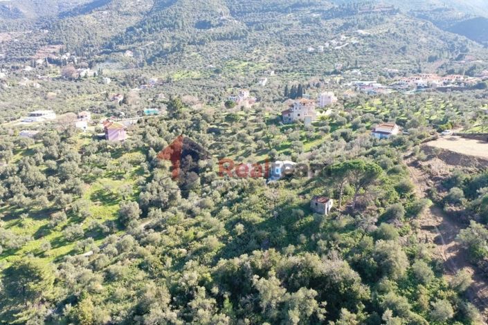 Image No.19-Property for sale