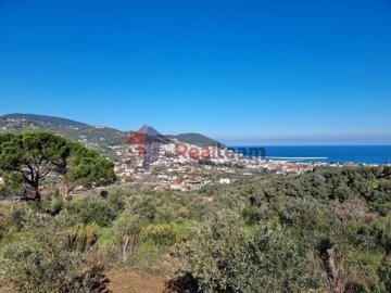 img9ff80fb5-9b1c-41bf-af2a-601c28c474ef