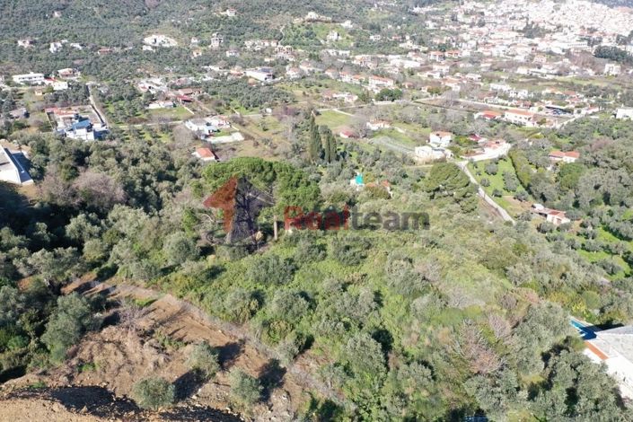 Image No.20-Property for sale