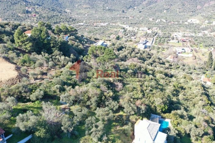 Image No.9-Property for sale