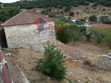 img2cfe697a-487a-4ca2-a15d-639de16df7a8