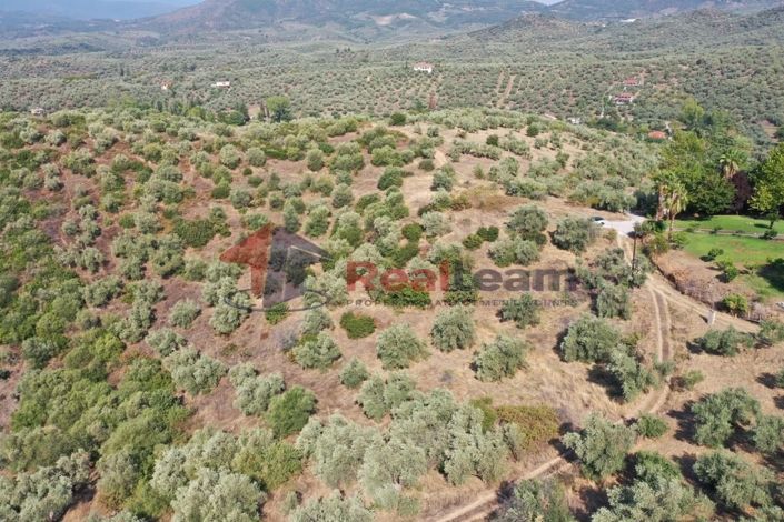 Image No.10-Property for sale