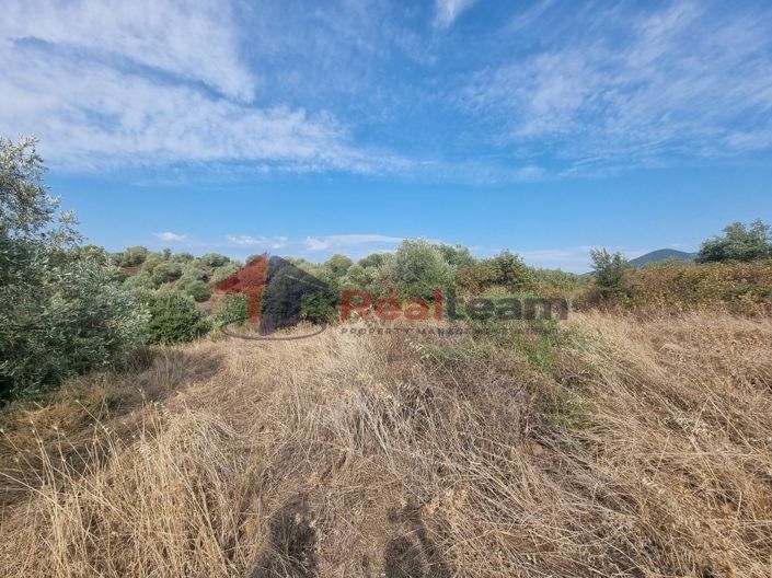 Image No.14-Property for sale