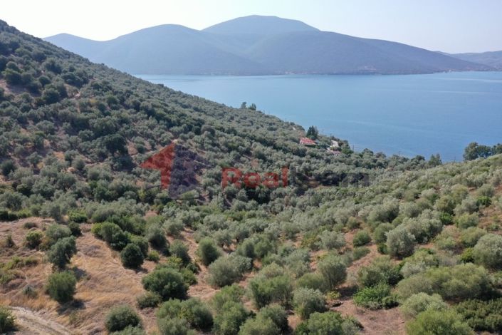 Image No.25-Property for sale