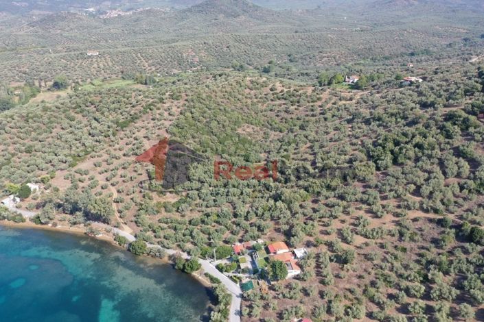 Image No.6-Property for sale