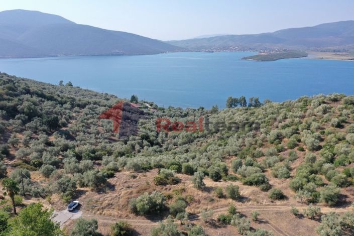 Image No.7-Property for sale