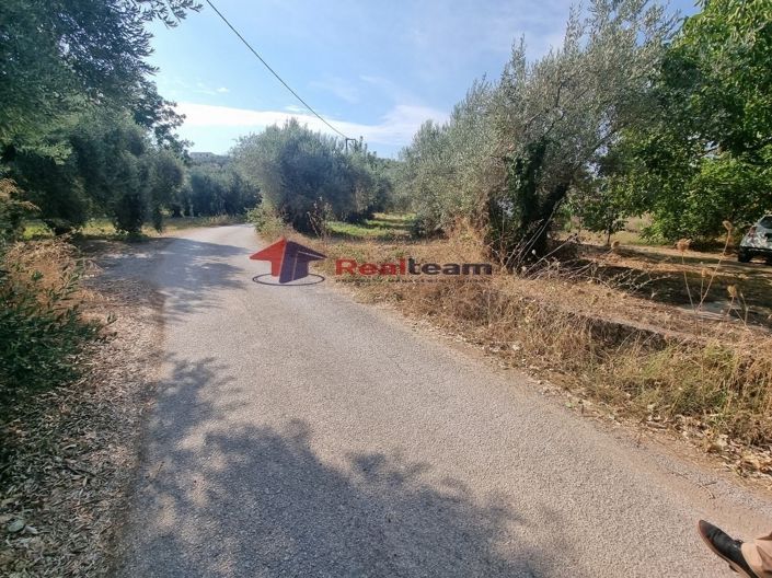 Image No.8-Property for sale