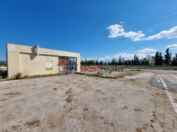 imgbd8975d2-2ee4-45e9-b72a-2aec5f6b1510