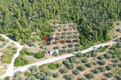 imgc43ce66c-8032-44a4-81a2-d74931a3637e