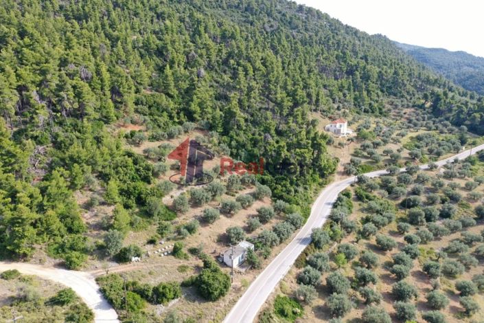 Image No.4-Property for sale