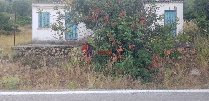 Image No.5-Property for sale