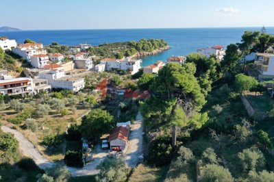 imge9fb7c72-e92c-4407-bfbf-4474bc5ee9f0