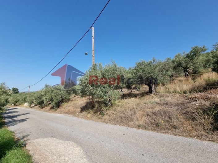 Image No.11-Property for sale