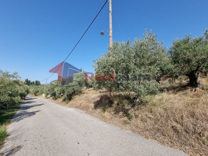 Image No.14-Property for sale