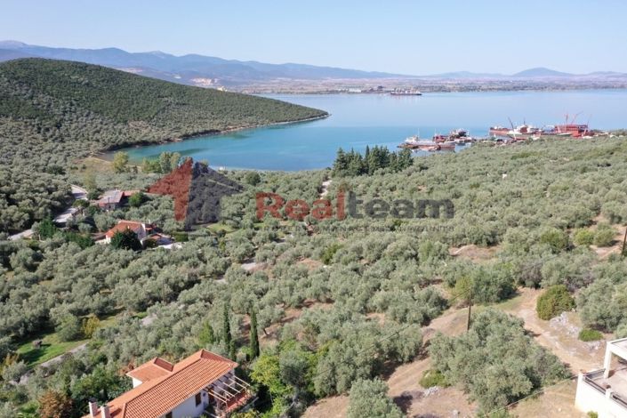 Image No.5-Property for sale