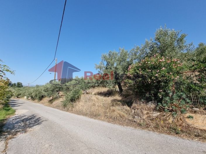 Image No.9-Property for sale