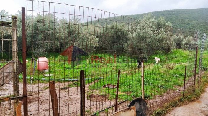 Image No.20-2 Bed Property for sale