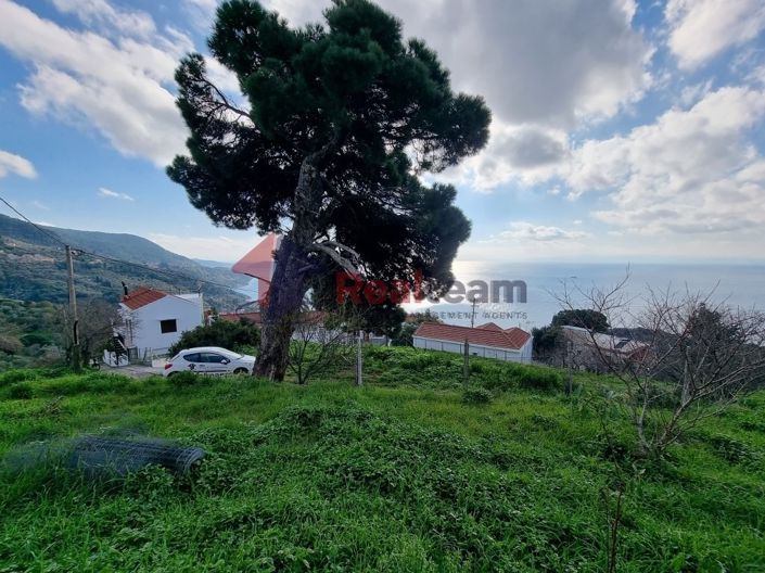 Image No.13-Property for sale