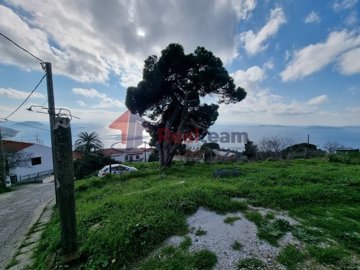 img302099b9-265b-4680-845e-e7af648116c9