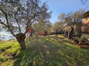 img4339f1b0-b4d1-4708-b30b-42167455efc2