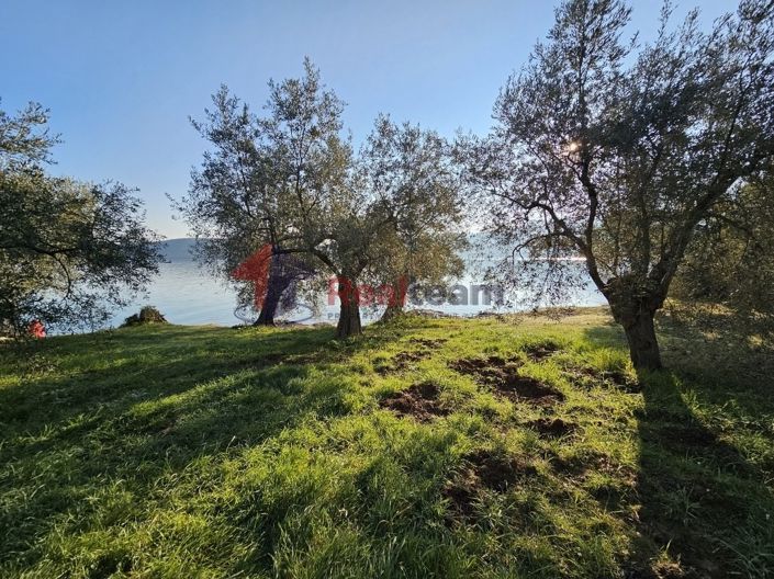 Image No.9-Property for sale