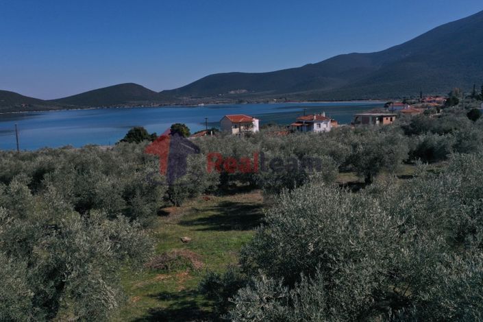 Image No.10-Property for sale