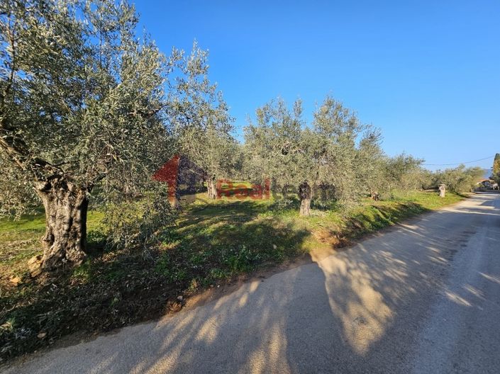 Image No.12-Property for sale