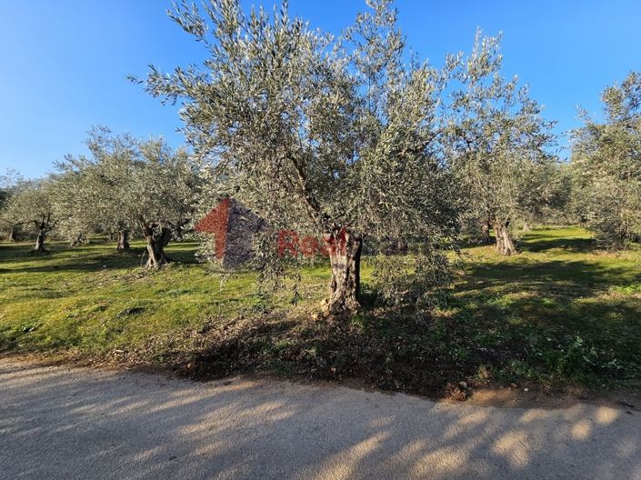 Image No.13-Property for sale